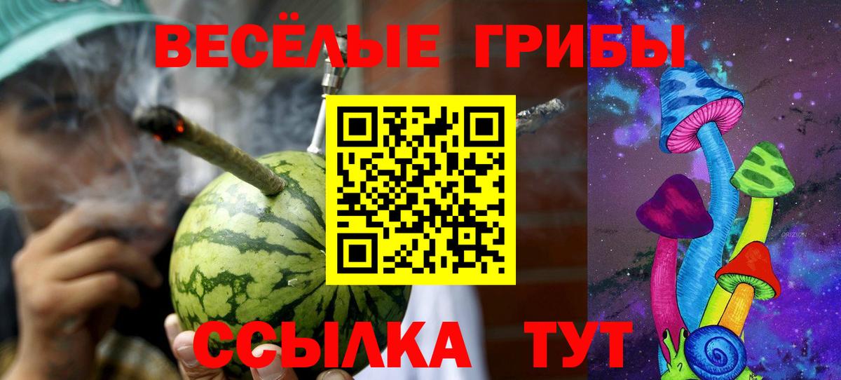 Галлюциногенные грибы Psilocybe Калининград