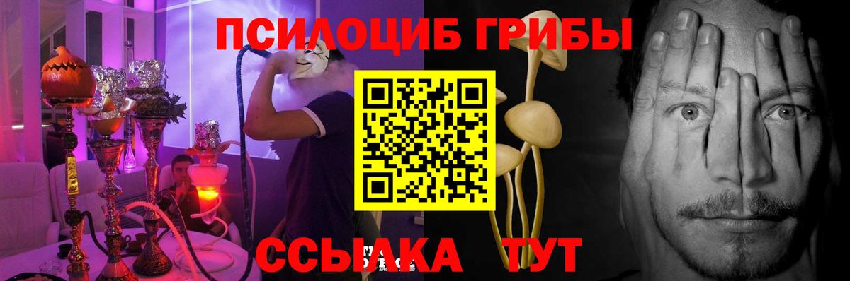 Псилоцибиновые грибы GOLDEN TEACHER  Вход с VPN  где купить наркоту  Калининград  Псилоцибиновые грибы прущие грибы 
